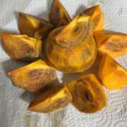 ヒメ日記 2025/10/15 22:25 投稿 りつ 大人の遊園痴「スピーディー」