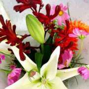 ヒメ日記 2025/10/17 08:31 投稿 りつ 大人の遊園痴「スピーディー」