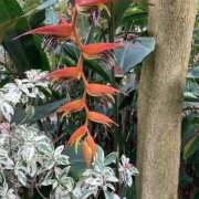 ヒメ日記 2025/10/29 07:08 投稿 りつ 大人の遊園痴「スピーディー」