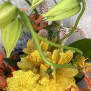 ヒメ日記 2025/10/29 08:18 投稿 りつ 大人の遊園痴「スピーディー」