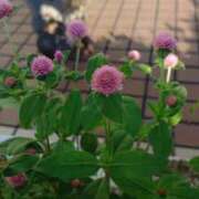 ヒメ日記 2025/11/05 08:38 投稿 りつ 大人の遊園痴「スピーディー」