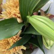 ヒメ日記 2025/11/09 06:18 投稿 りつ 大人の遊園痴「スピーディー」