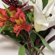 ヒメ日記 2025/11/27 16:48 投稿 りつ 大人の遊園痴「スピーディー」