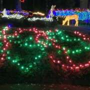 ヒメ日記 2025/11/27 22:18 投稿 りつ 大人の遊園痴「スピーディー」