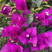 ヒメ日記 2025/11/28 18:18 投稿 りつ 大人の遊園痴「スピーディー」