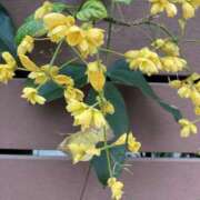 ヒメ日記 2025/12/17 13:10 投稿 りつ 大人の遊園痴「スピーディー」