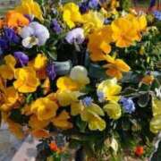 ヒメ日記 2025/12/19 12:38 投稿 りつ 大人の遊園痴「スピーディー」