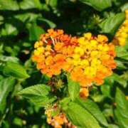 ヒメ日記 2026/01/14 08:48 投稿 りつ 大人の遊園痴「スピーディー」