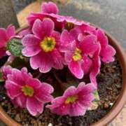 りつ ありがとうございました 大人の遊園痴「スピーディー」