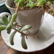 りつ もうすぐ出勤 大人の遊園痴「スピーディー」