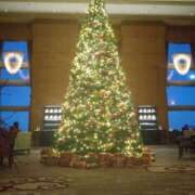 ヒメ日記 2024/12/24 19:17 投稿 さき 新宿・新大久保おかあさん