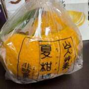 ヒメ日記 2025/04/12 20:20 投稿 さき 新宿・新大久保おかあさん