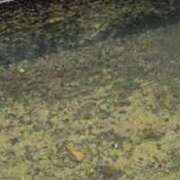 ヒメ日記 2025/09/13 18:04 投稿 新人 みら(Mira) 出張メンズエステ RELAX【DIVAグループ】