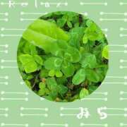 ヒメ日記 2026/08/09 20:07 投稿 新人 みら(Mira) 出張メンズエステ RELAX【DIVAグループ】