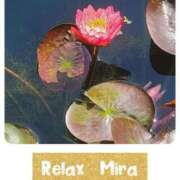 ヒメ日記 2026/08/15 23:13 投稿 新人 みら(Mira) 出張メンズエステ RELAX【DIVAグループ】