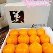 ヒメ日記 2024/12/07 14:06 投稿 めみ ときめき純情ロリ学園～東京乙女組 新宿校