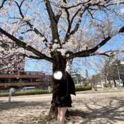 ヒメ日記 2025/04/12 18:06 投稿 めみ ときめき純情ロリ学園～東京乙女組 新宿校