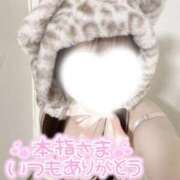 ヒメ日記 2025/04/18 08:12 投稿 めみ ときめき純情ロリ学園～東京乙女組 新宿校