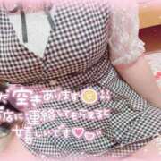 ヒメ日記 2025/03/02 12:51 投稿 ゆいな サンキュー沼津店（サンキューグループ）