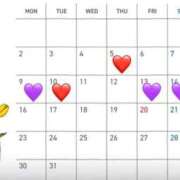 ヒメ日記 2026/03/03 23:15 投稿 片山 こなつ SUMIRE