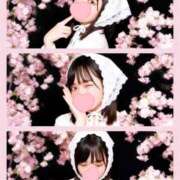 ヒメ日記 2026/06/13 13:16 投稿 みらい（花嫁） Yシャツと私