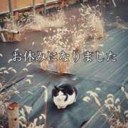 ヒメ日記 2025/02/09 08:30 投稿 かおる 大塚デリヘル倶楽部