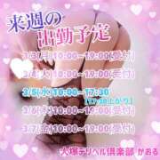 ヒメ日記 2025/02/27 11:34 投稿 かおる 大塚デリヘル倶楽部