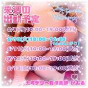 ヒメ日記 2025/06/05 12:03 投稿 かおる 大塚デリヘル倶楽部