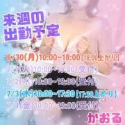 ヒメ日記 2025/06/26 11:20 投稿 かおる 大塚デリヘル倶楽部