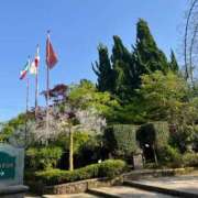 ヒメ日記 2025/05/22 04:45 投稿 感じて下さい。０距離で『たま』 ESSENCE