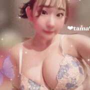 ヒメ日記 2025/11/14 23:19 投稿 感じて下さい。０距離で『たま』 ESSENCE