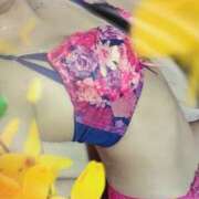 ヒメ日記 2025/01/08 17:53 投稿 いつき 恋人感　土浦店