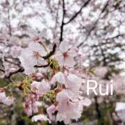ヒメ日記 2026/04/18 20:52 投稿 るい 蜜系アロマ＆回春エステ～エナジー～Energy