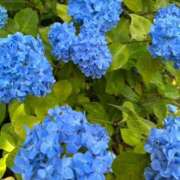 ヒメ日記 2026/05/12 20:58 投稿 るい 蜜系アロマ＆回春エステ～エナジー～Energy