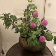 ヒメ日記 2026/06/17 19:58 投稿 るい 蜜系アロマ＆回春エステ～エナジー～Energy
