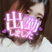 ヒメ日記 2025/02/07 12:06 投稿 ことな spicyな女たち