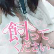 ヒメ日記 2025/04/08 18:45 投稿 ことな spicyな女たち