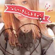 ヒメ日記 2025/04/12 16:31 投稿 ことな spicyな女たち