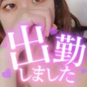 ヒメ日記 2025/05/08 12:04 投稿 ことな spicyな女たち