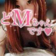 ヒメ日記 2025/05/11 18:13 投稿 ことな spicyな女たち