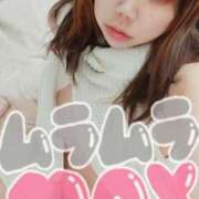 ヒメ日記 2025/09/05 23:33 投稿 ことな spicyな女たち