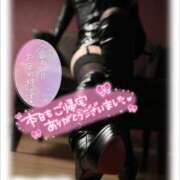 ヒメ日記 2024/12/19 19:50 投稿 ほのか 静岡人妻なでしこ（カサブランカグループ)