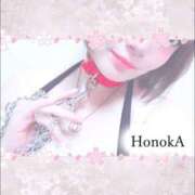 ヒメ日記 2024/12/22 12:26 投稿 ほのか 静岡人妻なでしこ（カサブランカグループ)