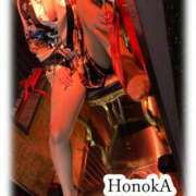 ヒメ日記 2025/02/12 13:48 投稿 ほのか 静岡人妻なでしこ（カサブランカグループ)