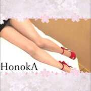 ヒメ日記 2025/07/24 13:50 投稿 ほのか 静岡人妻なでしこ（カサブランカグループ)