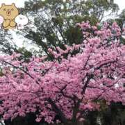 澪(みお) お礼です(⁠人⁠ ⁠•͈⁠ᴗ⁠•͈⁠) Chaleur (シャルール)