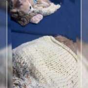 ヒメ日記 2024/12/16 19:09 投稿 ことね 奥様鉄道69 岡山店