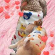 ヒメ日記 2024/12/26 15:19 投稿 ことね 奥様鉄道69 岡山店