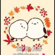 ヒメ日記 2025/01/04 11:11 投稿 ことね 奥様鉄道69 岡山店