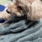 ヒメ日記 2025/02/16 12:37 投稿 ことね 奥様鉄道69 岡山店